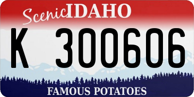 ID license plate K300606