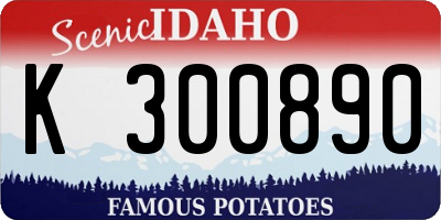 ID license plate K300890