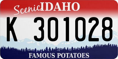 ID license plate K301028