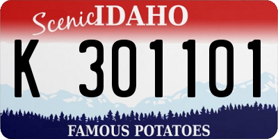 ID license plate K301101