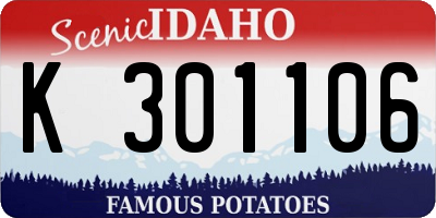 ID license plate K301106