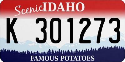 ID license plate K301273