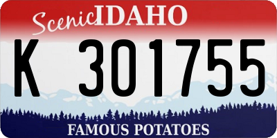 ID license plate K301755