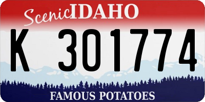 ID license plate K301774