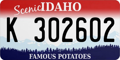 ID license plate K302602