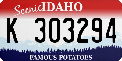 ID license plate K303294