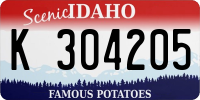 ID license plate K304205