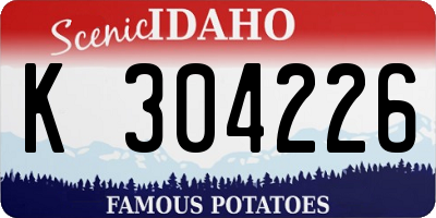 ID license plate K304226