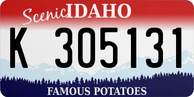 ID license plate K305131