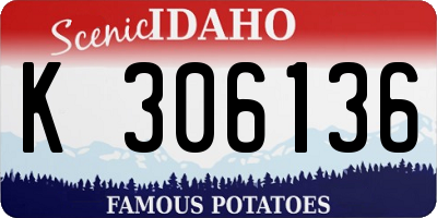 ID license plate K306136