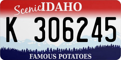 ID license plate K306245