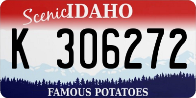 ID license plate K306272