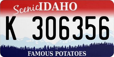 ID license plate K306356