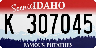 ID license plate K307045