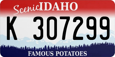 ID license plate K307299
