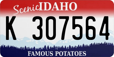 ID license plate K307564