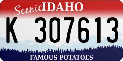 ID license plate K307613