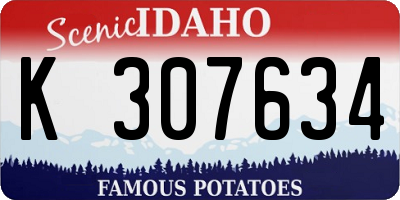 ID license plate K307634