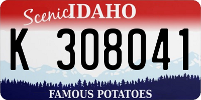 ID license plate K308041
