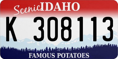 ID license plate K308113