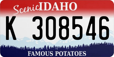 ID license plate K308546