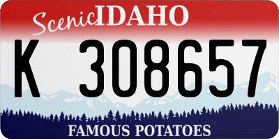 ID license plate K308657
