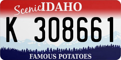 ID license plate K308661