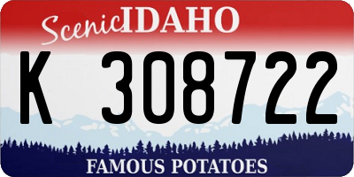 ID license plate K308722