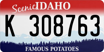 ID license plate K308763