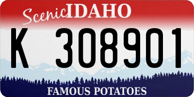 ID license plate K308901