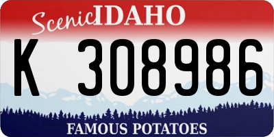 ID license plate K308986