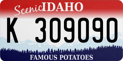 ID license plate K309090