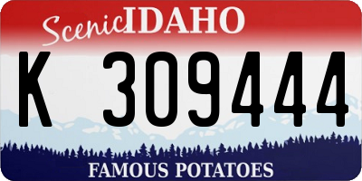 ID license plate K309444