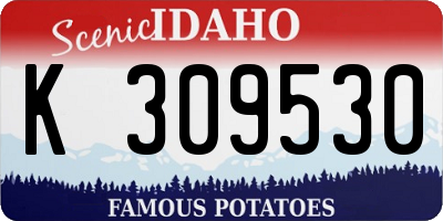 ID license plate K309530