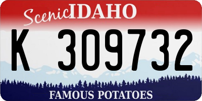 ID license plate K309732