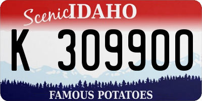 ID license plate K309900