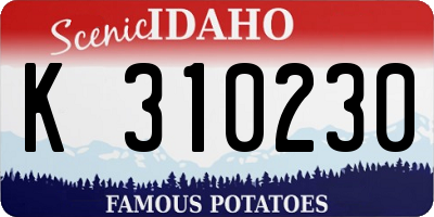 ID license plate K310230