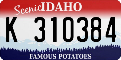 ID license plate K310384