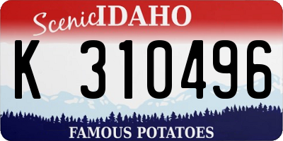 ID license plate K310496