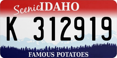 ID license plate K312919