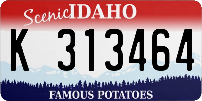 ID license plate K313464