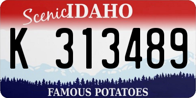 ID license plate K313489