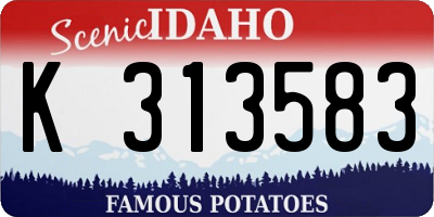 ID license plate K313583