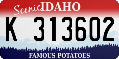 ID license plate K313602