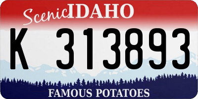 ID license plate K313893