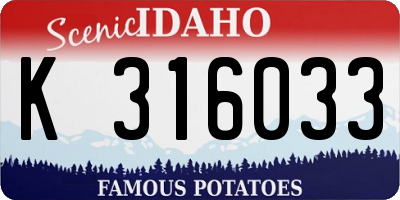 ID license plate K316033