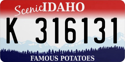 ID license plate K316131