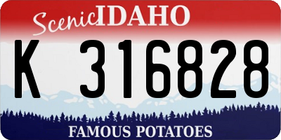 ID license plate K316828