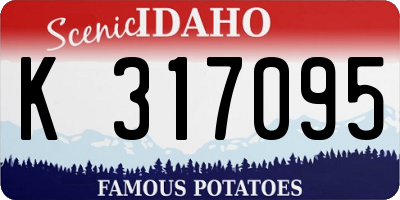 ID license plate K317095