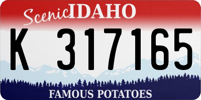ID license plate K317165
